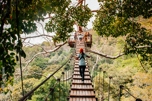 Fototapeta Tourist on zip line elevated wooden bridge over tropical forest canopy in Phuket
