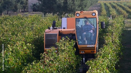 grape harvester