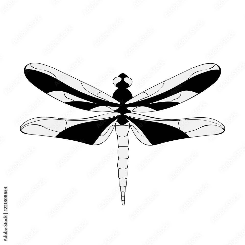 dragonfly, black and white dragonfly, black and white