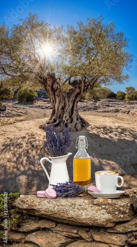 Fototapeta Naklejka Na Ścianę i Meble -  Lavender still life against olive tree in Provence, France
