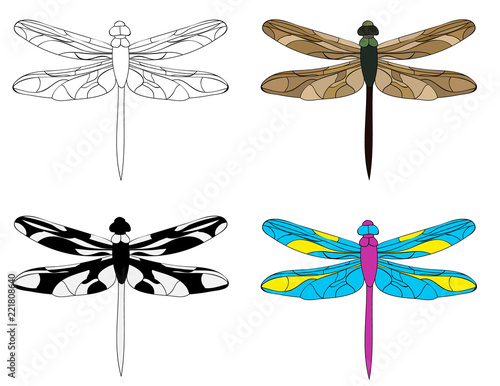 vector, isolated, dragonfly