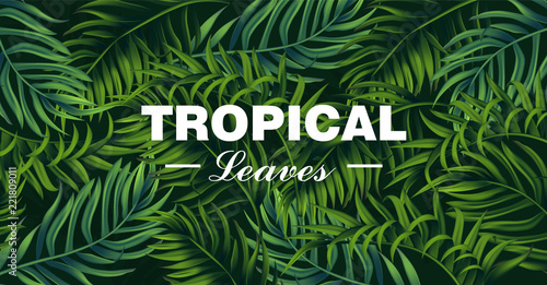 Tropic leaves card Vector realistic. detailed 3d exotic palm leaf banners