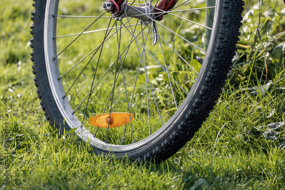 Fototapeta premium The bike wheel on grass 