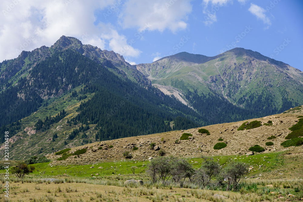 Beautiful view of the mountains, red stones, wide meadows at the foot of the Tian Shan mountains