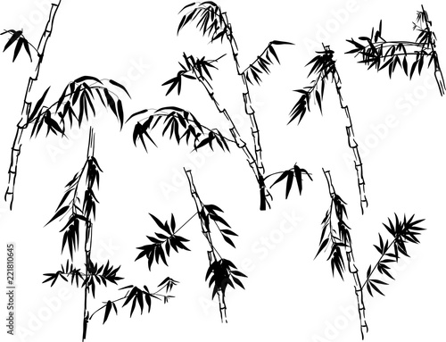 isolated black bamboo plant outlines collection