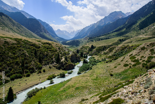 Panoramic view of the river in the mountains surrounded by forest
