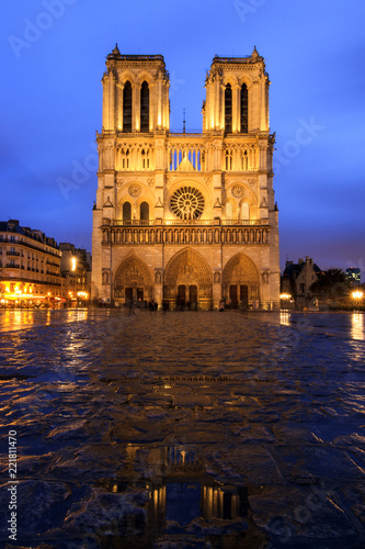Beautiful view of the Notre-Dame Cathedral in Paris at the blue hour at night