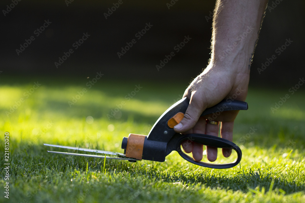 Cutting lawn with scissors in hardtoreach places, gardener