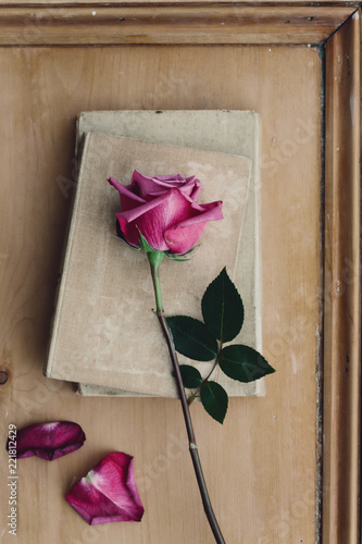 Vintage books with faded pink rose