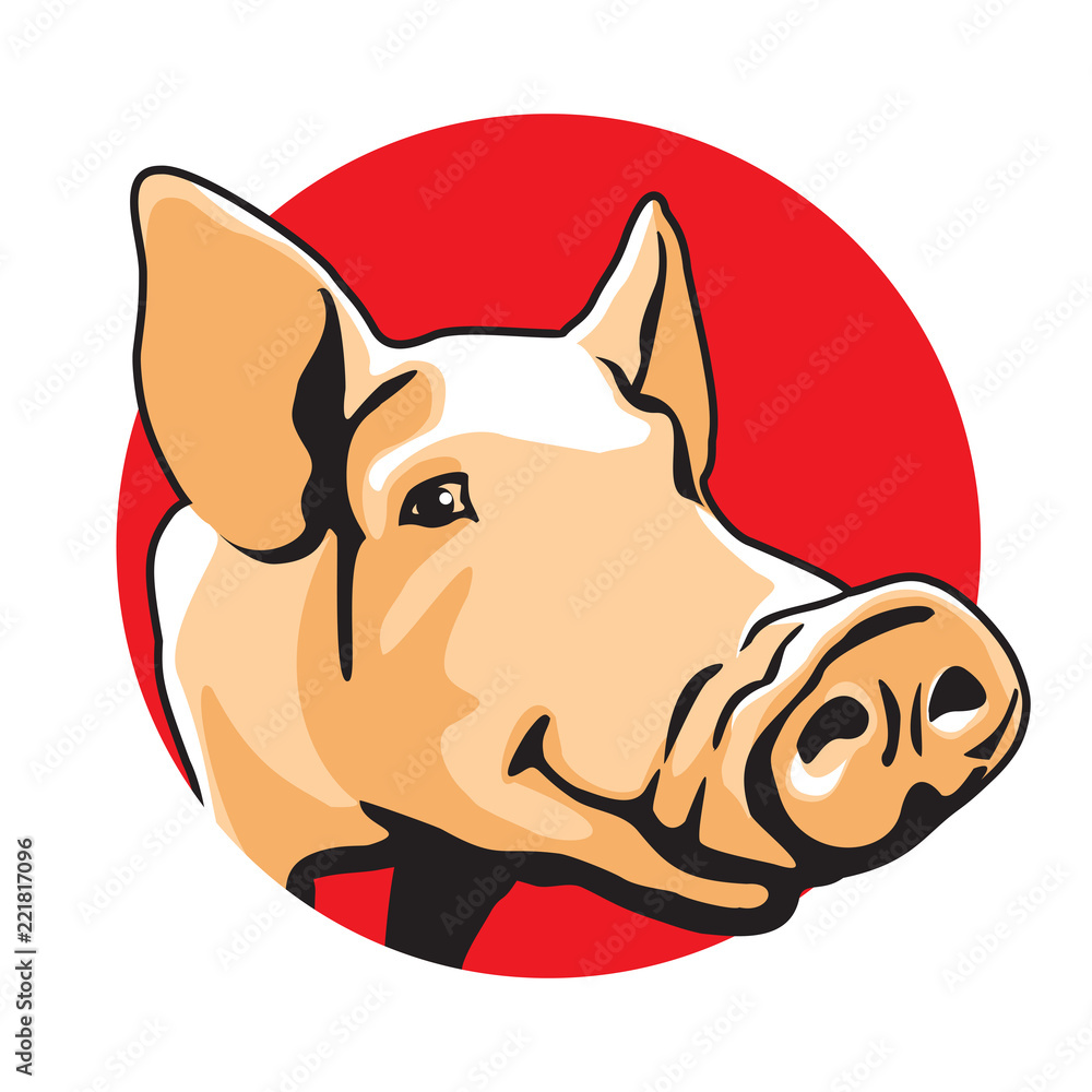 Pig vector illustration. Color drawing of single pork animal on red circle,  graphic arts and cartoon design style. Stock Vector | Adobe Stock