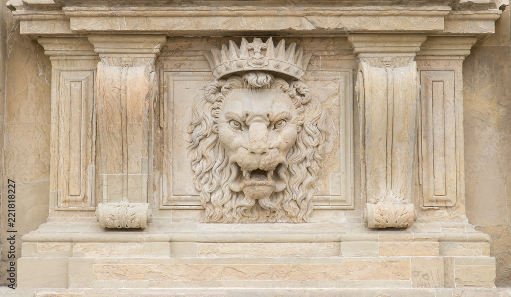 Obraz premium Lion