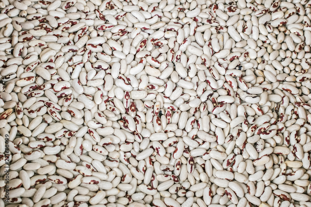 dry phaseolus kidney bean texture dry phaseolus kidney bean texture