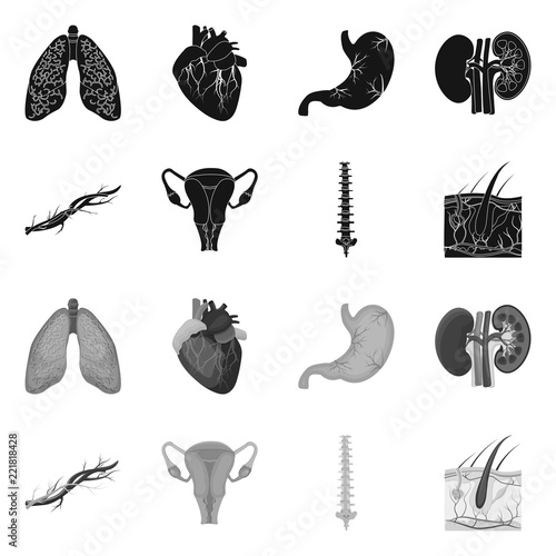 Isolated object of body and human sign. Collection of body and medical vector icon for stock.