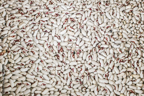 dry phaseolus kidney bean texture photo