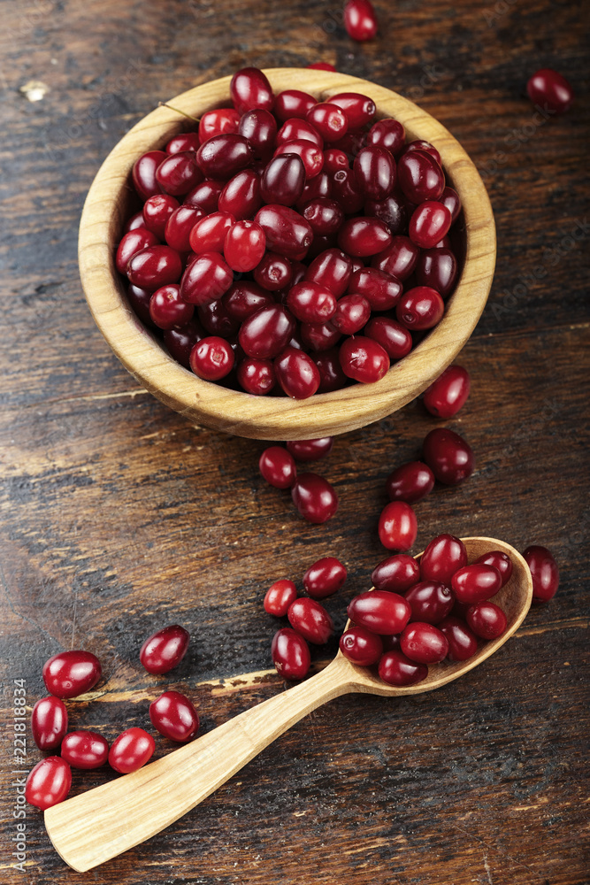 Dogwood berries on the plate Dogwood berries on the plate