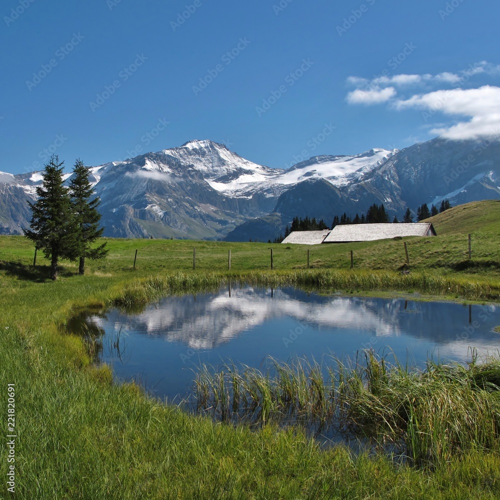 Mount Wildhorn reflecting in a pond, Höhi Wispile. Saanenland Valley. Switzerland.