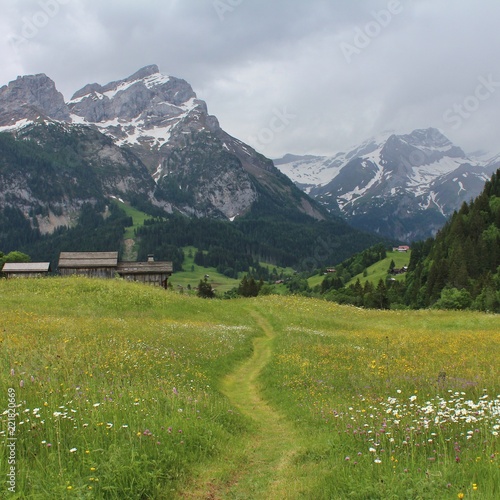 Foot path leading towards Gsteig bei Gstaad and mountains Schlauchhorn and Oldenhorn, Switzerland. 