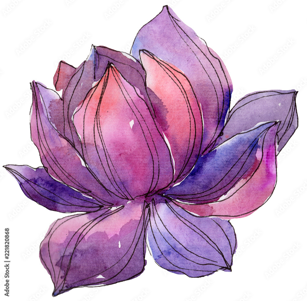 Watercolor purple lotus flower. Floral botanical flower. Isolated  illustration element. Aquarelle wildflower for background, texture, wrapper  pattern, frame or border. Stock Illustration | Adobe Stock