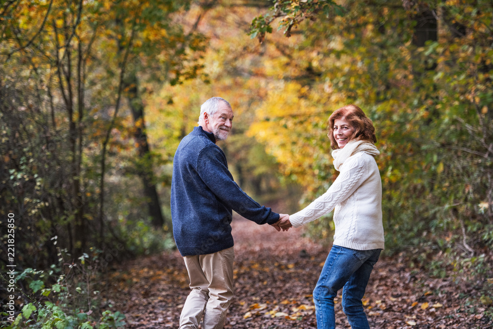 A senior couple walking in an autumn nature holding hands and looking back.