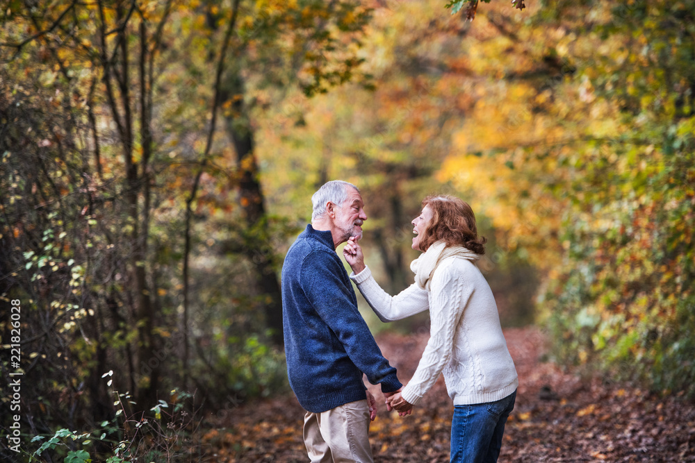 Senior couple in an autumn nature, holding hands and having fun. Senior couple in an autumn nature, holding hands and having fun.