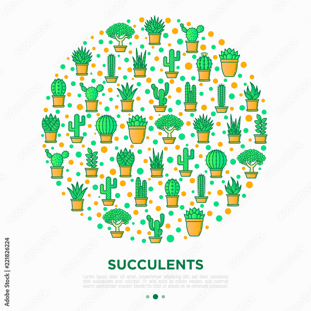 Cactus and succelents in pots concept in circle with thin line icons. Modern vector illustration, web page template for shop of plants. Cactus and succelents in pots concept in circle with thin line icons. Modern vector illustration, web page template for shop of plants.