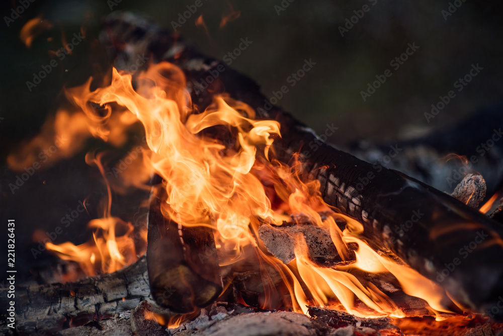 Flame burns in the fire. Fire in the grill with smoke. Arson or natural disaster. The fire is close. Fire in nature. Background bonfire Flame burns in the fire. Fire in the grill with smoke. Arson or natural disaster. The fire is close. Fire in nature. Background bonfire