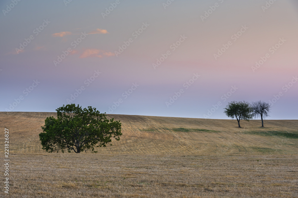 Three Trees Valveron Three Trees Valveron