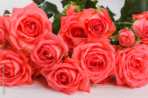 Red roses close up. White wooden desk background.