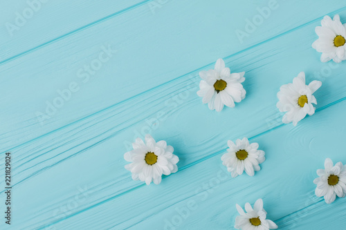 White chamomile flower on blue wood. Wooden table background. © DenisProduction.com