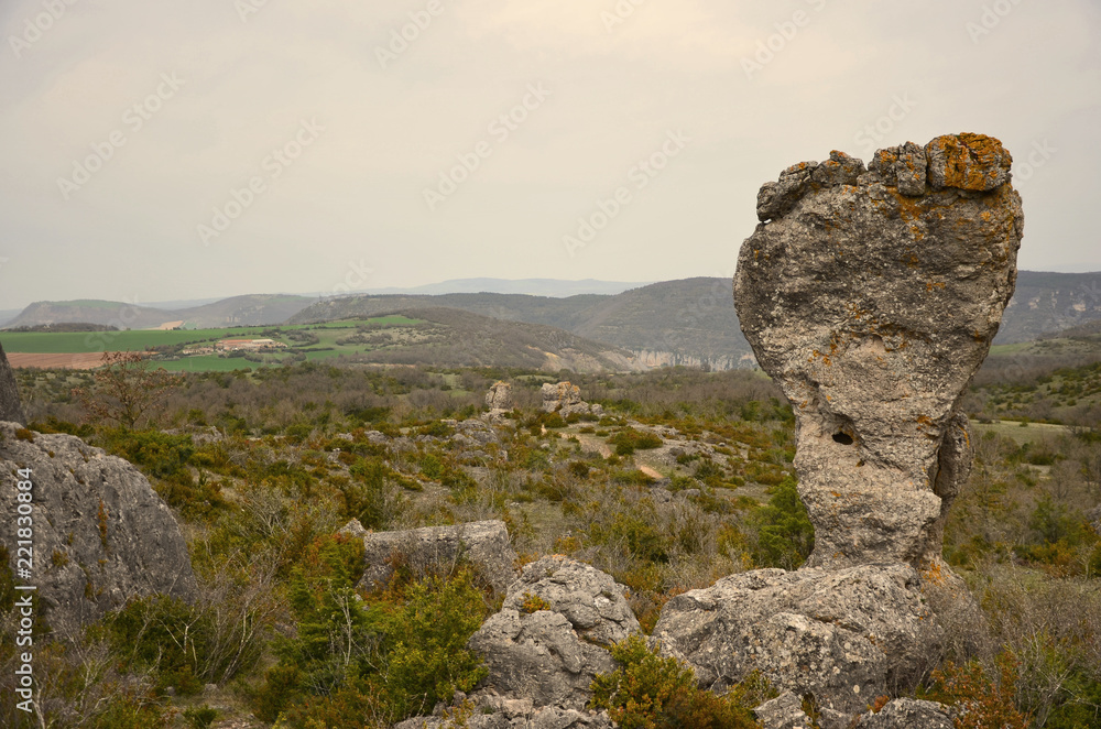 Plateau du Larzac Aveyron Millau 