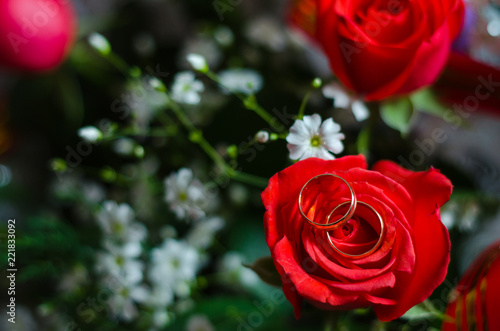 wedding rings on flowers roses