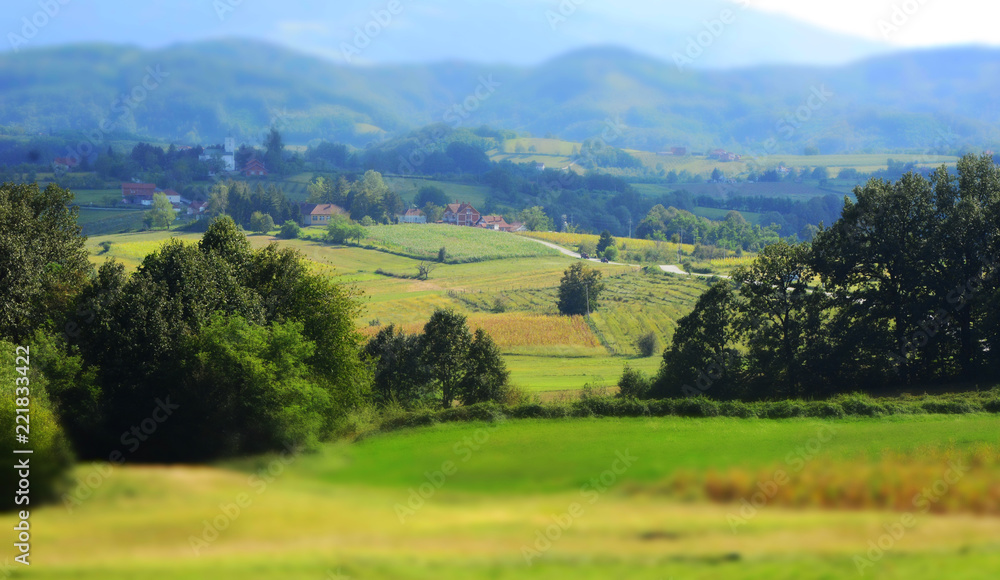Obraz premium Summer mountain landscape in Serbia