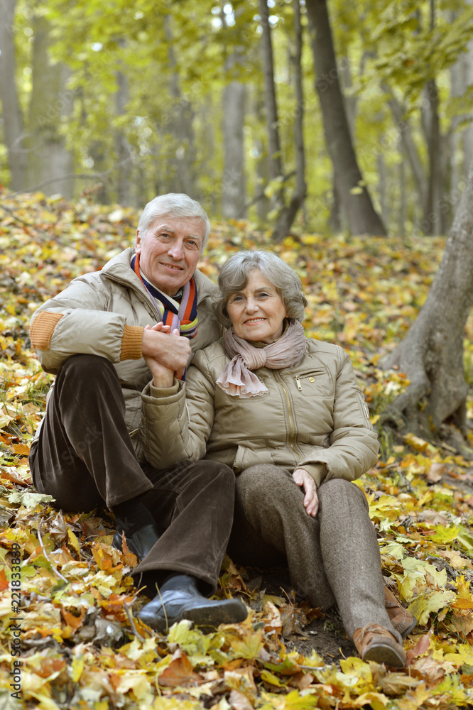 beautiful old couple resting in the park