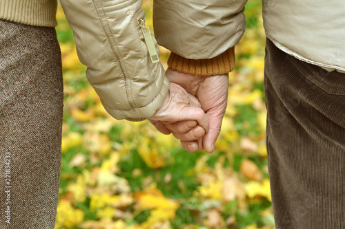 elderly couple holding hands in beautiful park