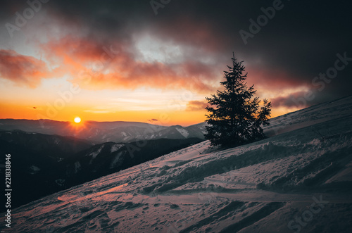 Winter sunset in nature, Christmas and New Year time, snowy photo, edit space