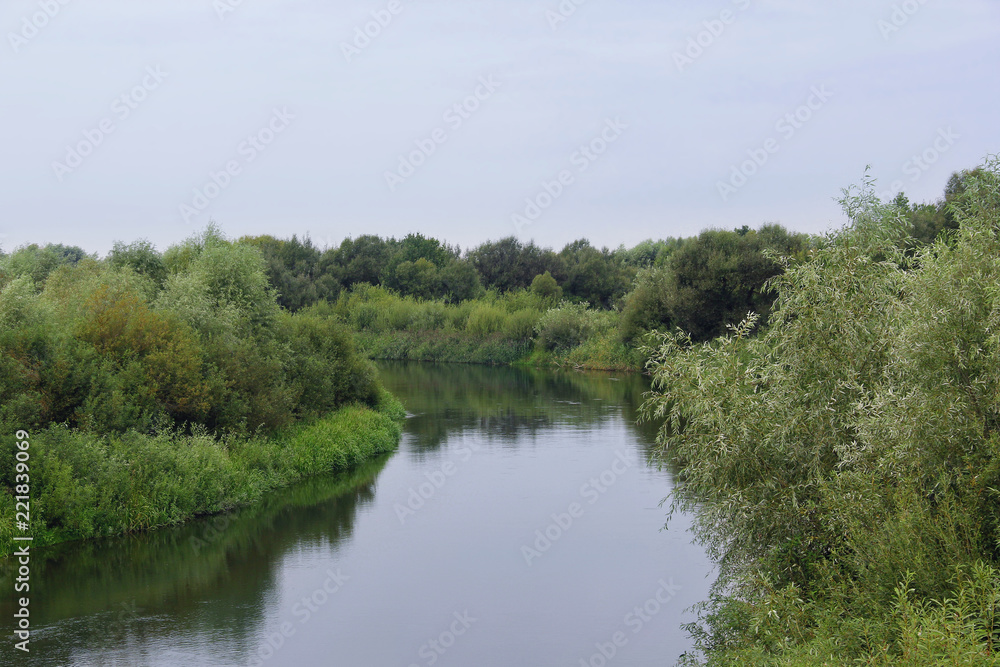 the flow of a river among green trees