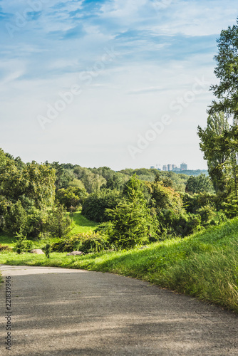 asphalt road in green park with landscape on background