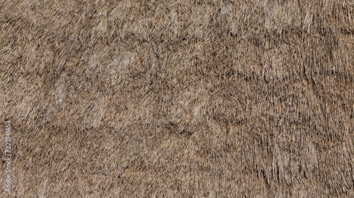 Obraz na plátně Thatched Straw Roof Texture Background