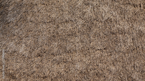 Konstfotografi Thatched Straw Roof Texture Background