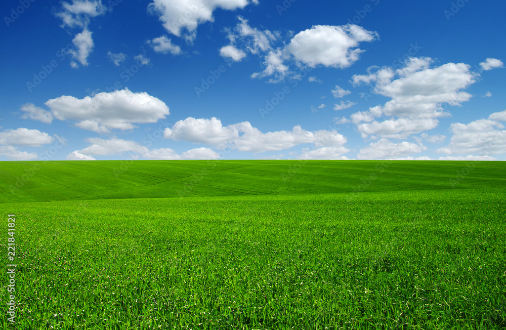 green field and clouds - obrazy, fototapety, plakaty 