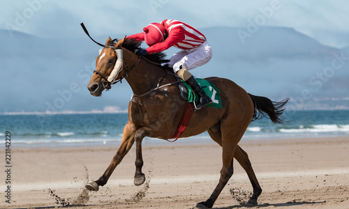 Fotografie Race horse and jockey galloping fast on the beach