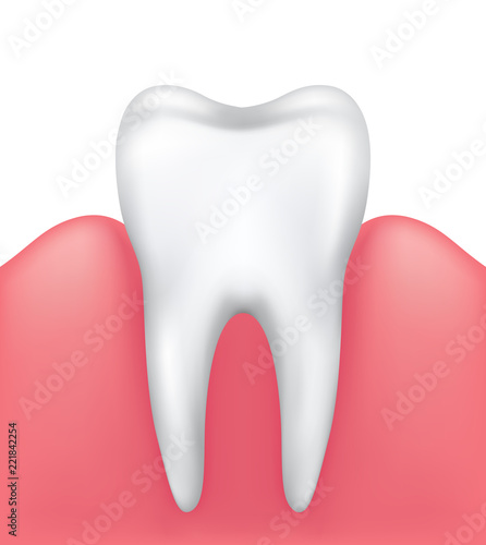 Vector healthy shiny tooth in pink gums isolated on white background - medical illustration