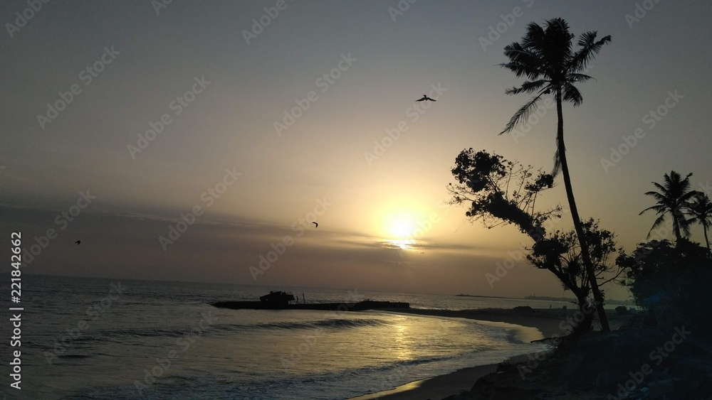 Sunset in the beach. Trees and birds