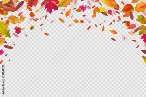 Canvas Print Autumn falling leaves