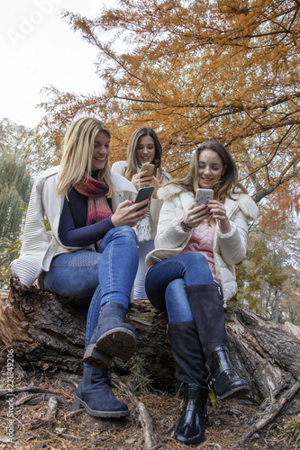 Three young girl friends sitting in the park and looking at the mobile phone