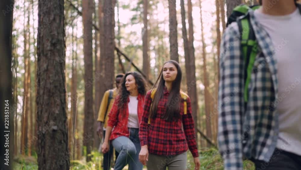 Slow motion of smiling young people walking in forest and looking around enjoying beautiful nature and fresh air on summer day. Friends, hiking and summertime concept. Slow motion of smiling young people walking in forest and looking around enjoying beautiful nature and fresh air on summer day. Friends, hiking and summertime concept.