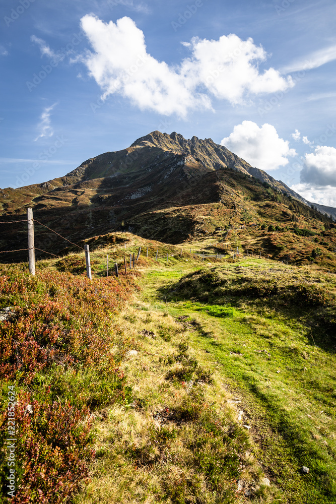 Obraz premium Grüne Berglandschaft in den Alpen