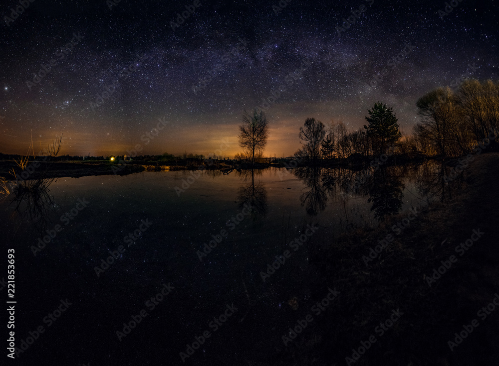 Trees near a pond on a starry night