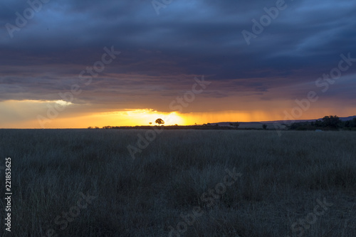 End of the day and the coming night in the savanna. Masai Mara, Kenya. Africa