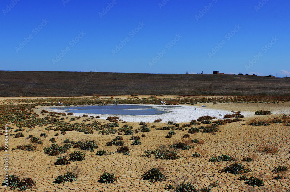 Obraz premium Valley of mud volcanoes, hills and a small lake with muddy brown water, which is created as a result of the release of gas methane, nitrogen and carbon dioxide from the earth's interior.